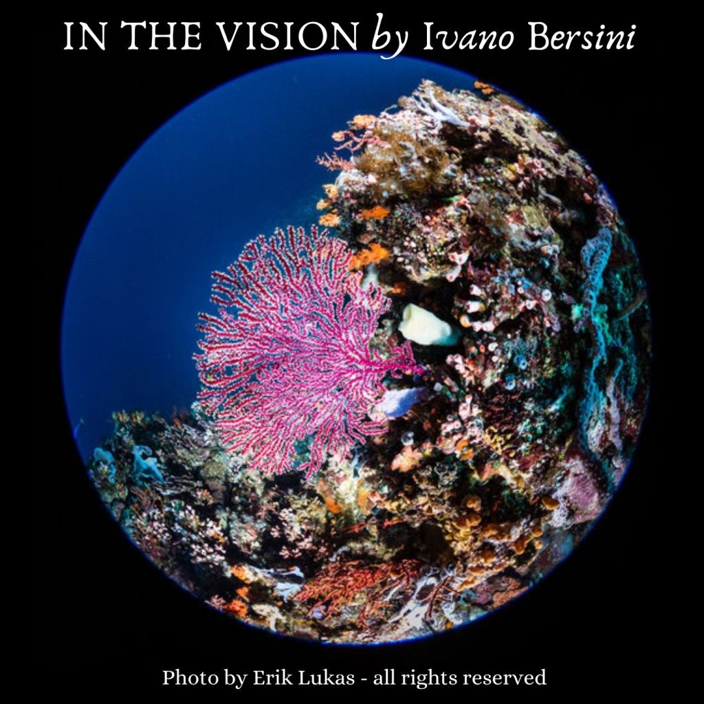 In the vision by Ivano&nbsp;Bersini